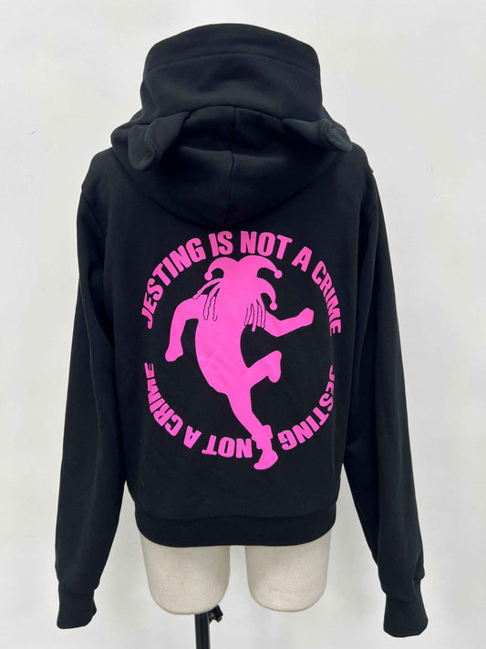 Cat Hoodie - duncehatclub