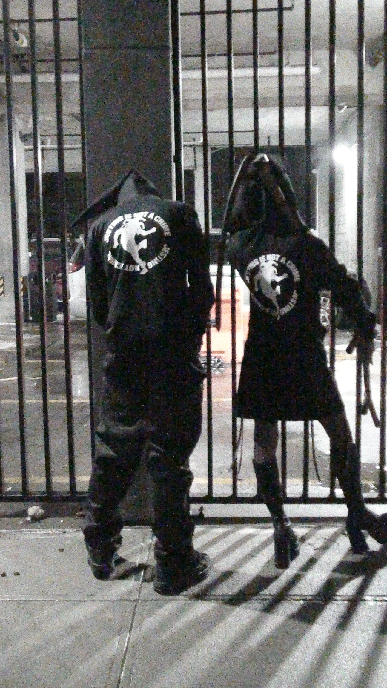 Wizard Hood - duncehatclub