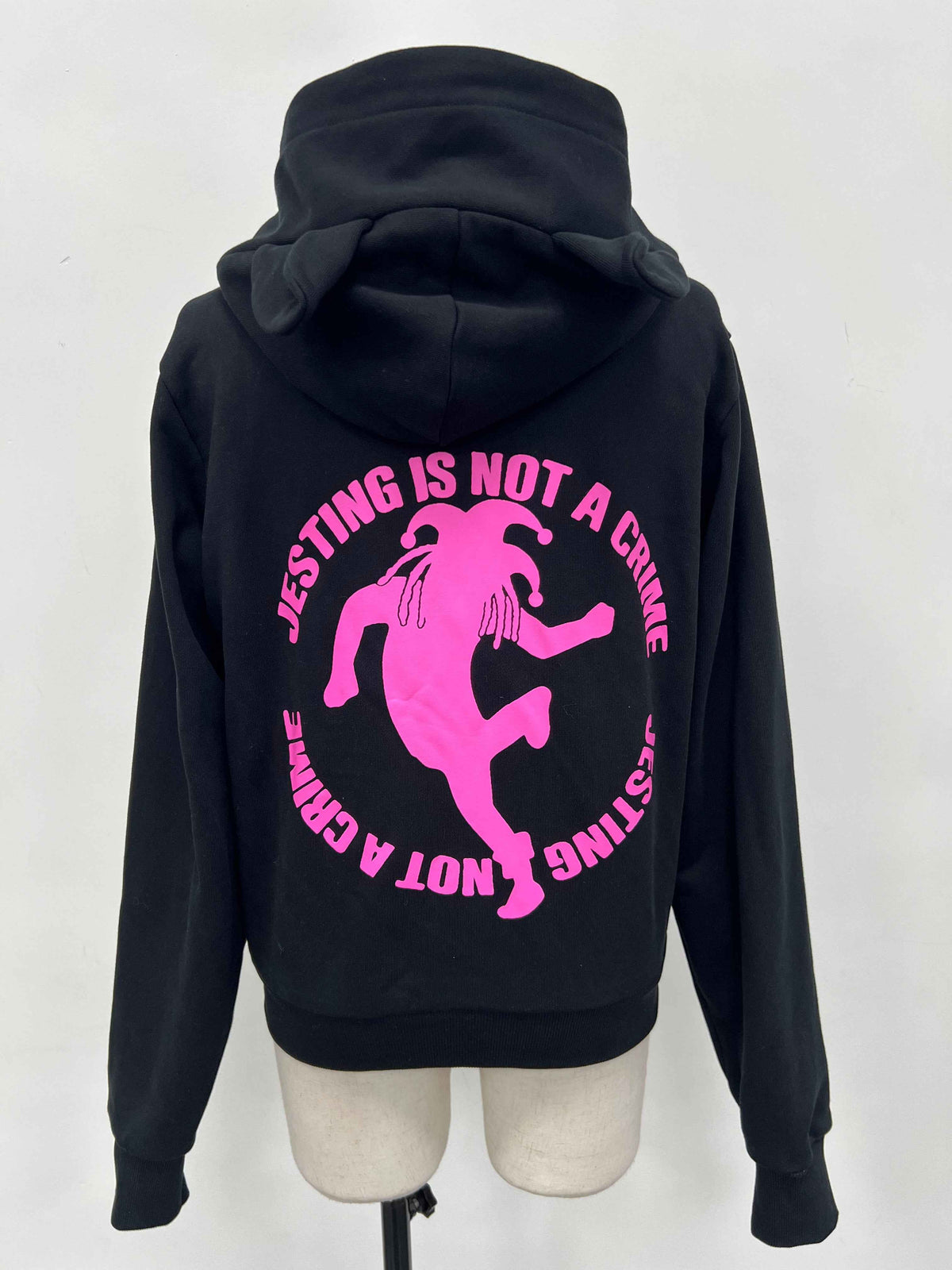 Cat Hoodie - duncehatclub