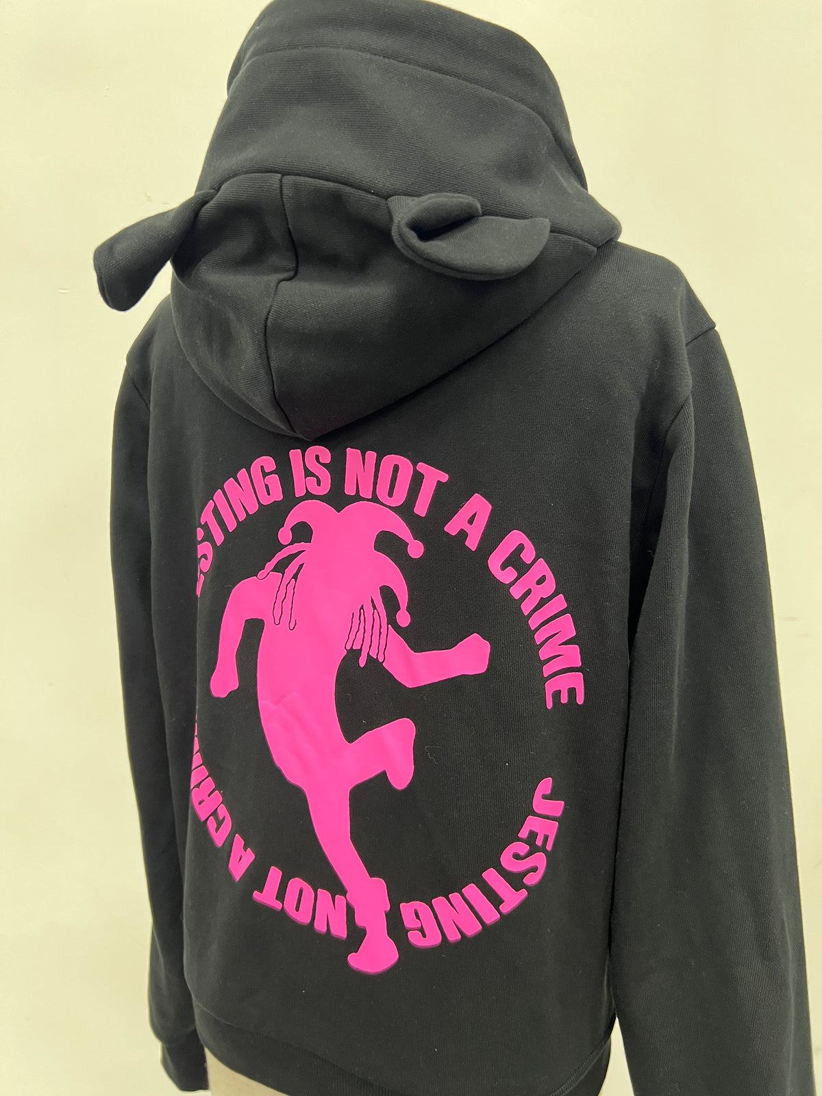 Cat Hoodie - duncehatclub