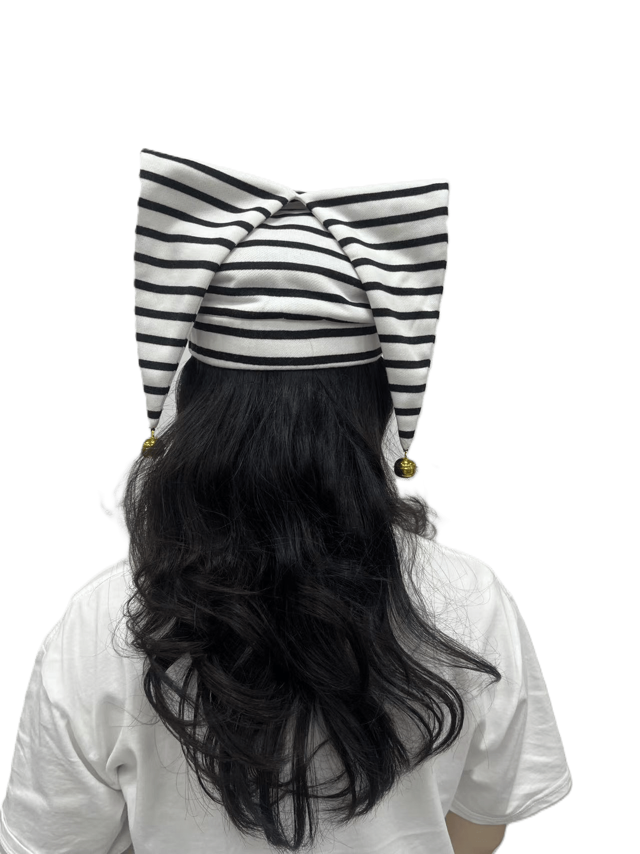 Fool's Cap - duncehatclub